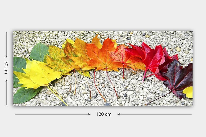 Canvastaulu YTY Floral & Botanical Monivärinen - 120x50 cm - Sisustustuotteet - Taulu & taide - Canvas-taulu