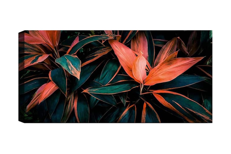 Canvastaulu YTY Floral & Botanical Monivärinen - 120x50 cm - Sisustustuotteet - Taulu & taide - Canvas-taulu