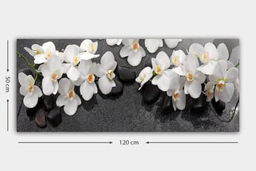 Canvastaulu YTY Floral & Botanical Monivärinen - 120x50 cm - Sisustustuotteet - Taulu & taide - Canvas-taulu