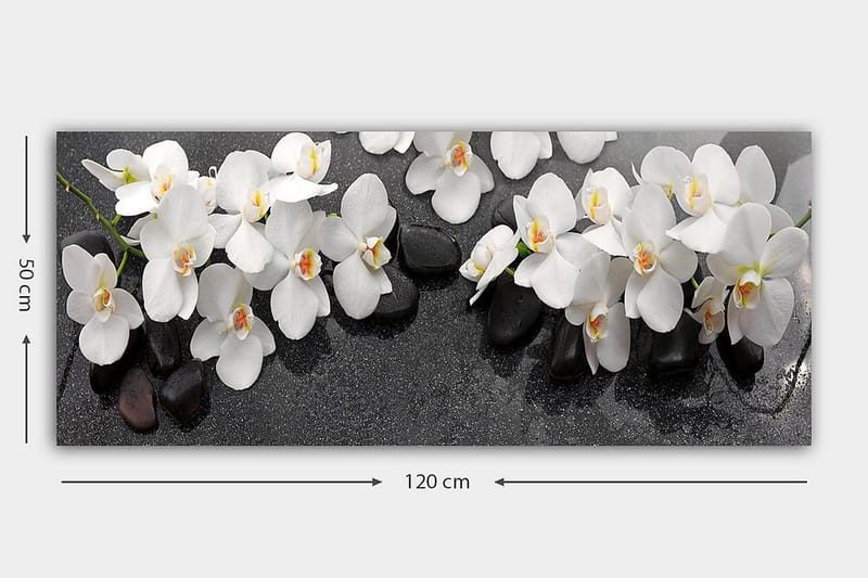 Canvastaulu YTY Floral & Botanical Monivärinen - 120x50 cm - Sisustustuotteet - Taulu & taide - Canvas-taulu