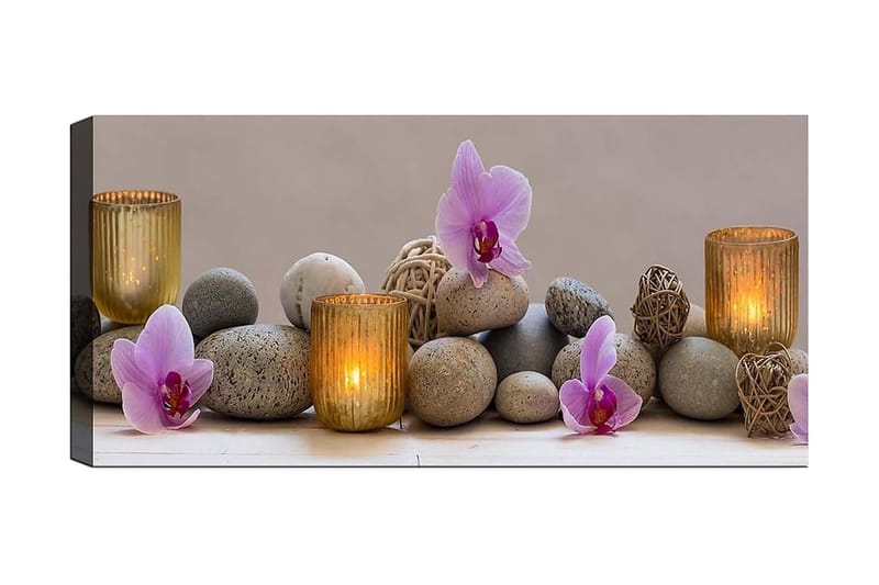 Canvastaulu YTY Floral & Botanical Monivärinen, 120x50 cm