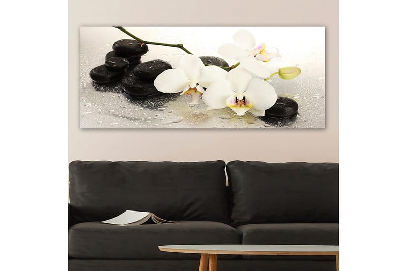 Canvastaulu YTY Floral & Botanical Monivärinen - 120x50 cm - Sisustustuotteet - Taulu & taide - Canvas-taulu