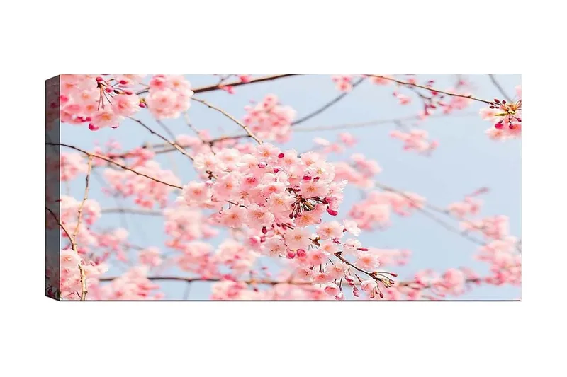 Canvastaulu YTY Floral & Botanical Monivärinen, 120x50 cm