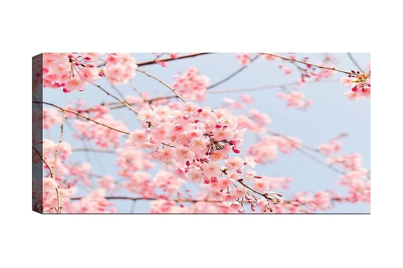 Canvastaulu YTY Floral & Botanical Monivärinen, 120x50 cm