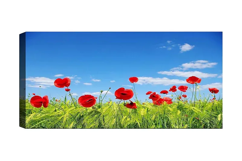 Canvastaulu YTY Floral & Botanical Monivärinen, 120x50 cm