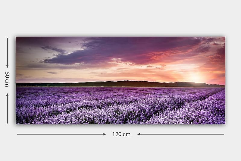 Canvastaulu YTY Floral & Botanical Monivärinen - 120x50 cm - Sisustustuotteet - Taulu & taide - Canvas-taulu