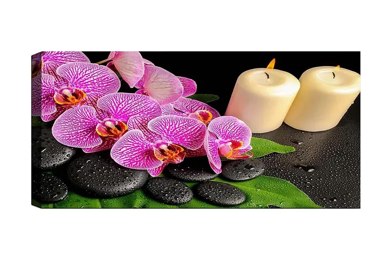 Canvastaulu YTY Floral & Botanical Monivärinen, 120x50 cm