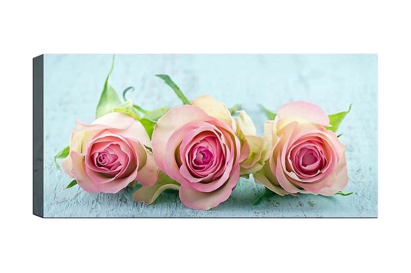 Canvastaulu YTY Floral & Botanical Monivärinen, 120x50 cm