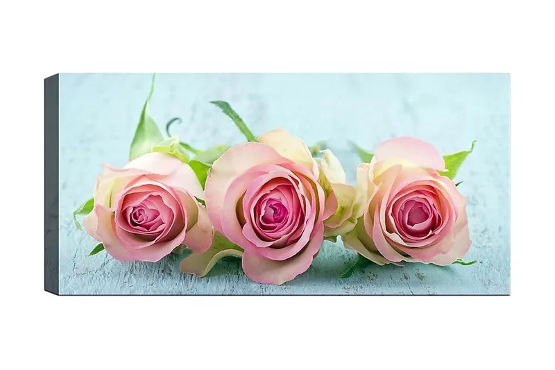 Canvastaulu YTY Floral & Botanical Monivärinen, 120x50 cm