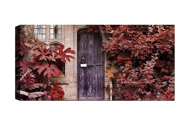 Canvastaulu YTY Floral & Botanical Monivärinen, 120x50 cm