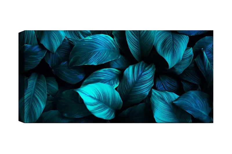 Canvastaulu YTY Floral & Botanical Monivärinen, 120x50 cm