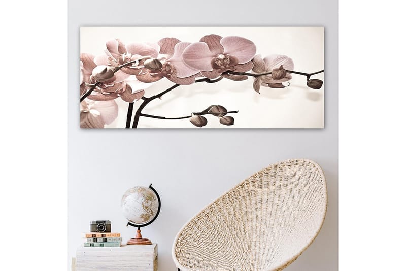 Canvastaulu YTY Floral & Botanical Monivärinen - 120x50 cm - Sisustustuotteet - Taulu & taide - Canvas-taulu
