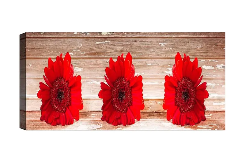 Canvastaulu YTY Floral & Botanical Monivärinen, 120x50 cm