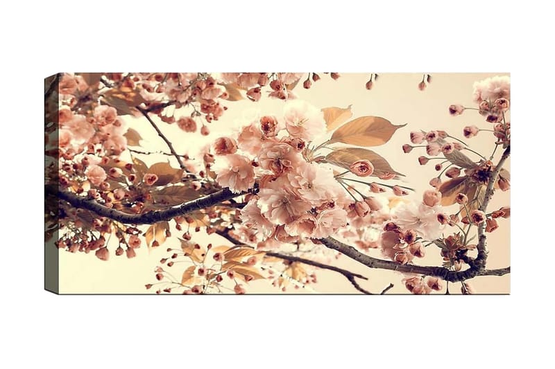Canvastaulu YTY Floral & Botanical Monivärinen, 120x50 cm