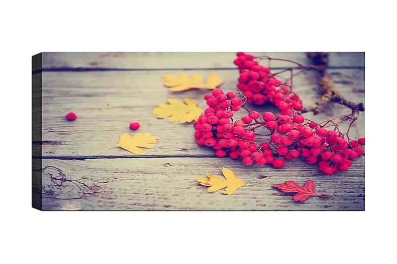 Canvastaulu YTY Floral & Botanical Monivärinen, 120x50 cm