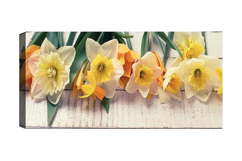 Canvastaulu YTY Floral & Botanical Monivärinen, 120x50 cm