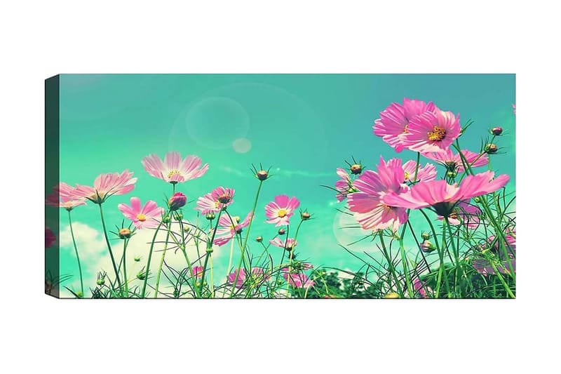 Canvastaulu YTY Floral & Botanical Monivärinen, 120x50 cm