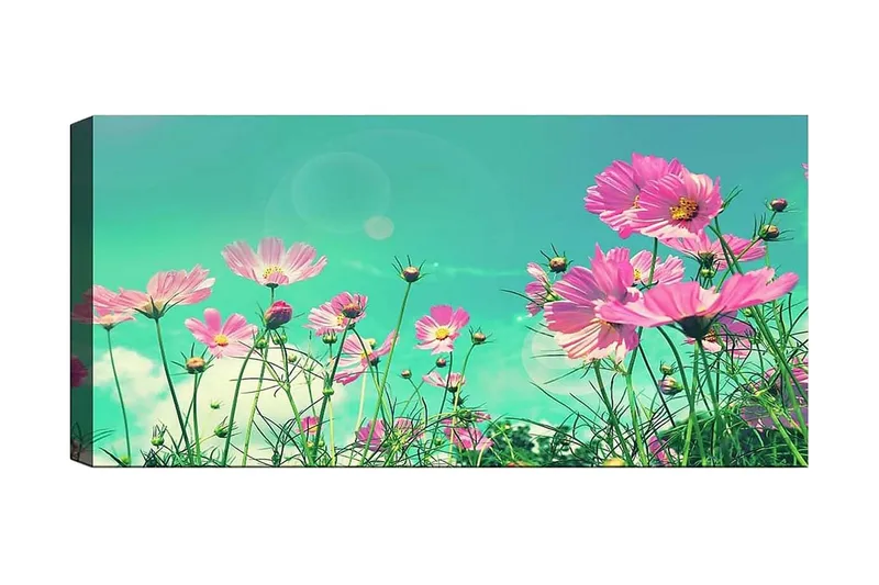 Canvastaulu YTY Floral & Botanical Monivärinen, 120x50 cm