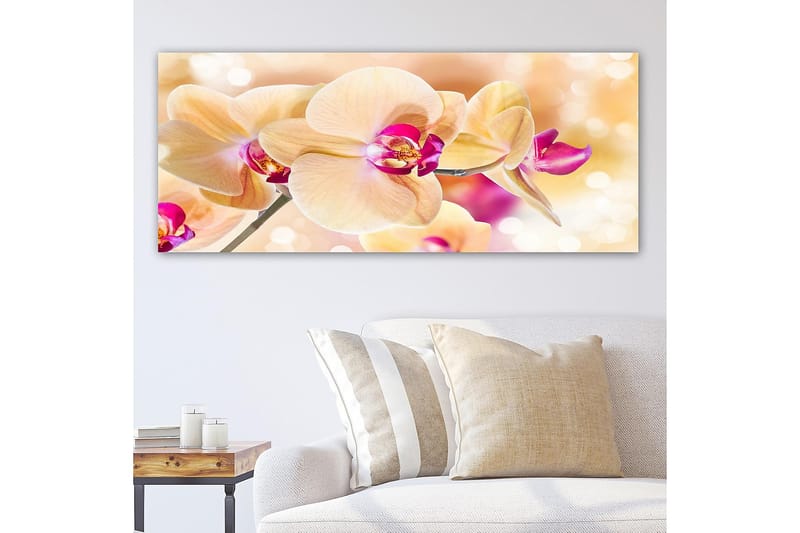 Canvastaulu YTY Floral & Botanical Monivärinen - 120x50 cm - Sisustustuotteet - Taulu & taide - Canvas-taulu