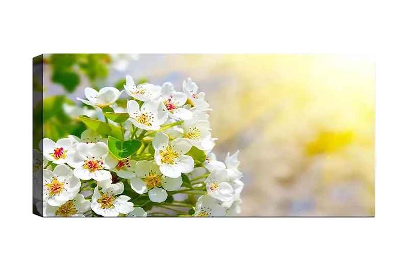 Canvastaulu YTY Floral & Botanical Monivärinen, 120x50 cm