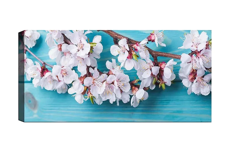 Canvastaulu YTY Floral & Botanical Monivärinen, 120x50 cm