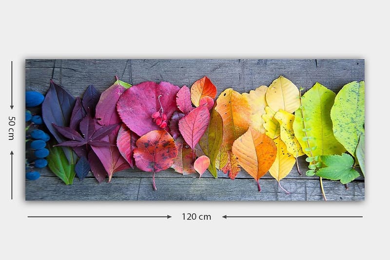 Canvastaulu YTY Floral & Botanical Monivärinen - 120x50 cm - Sisustustuotteet - Taulu & taide - Canvas-taulu