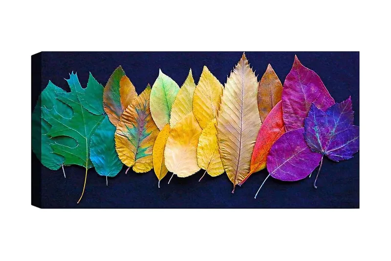 Canvastaulu YTY Floral & Botanical Monivärinen, 120x50 cm