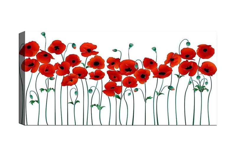 Canvastaulu YTY Floral & Botanical Monivärinen, 120x50 cm