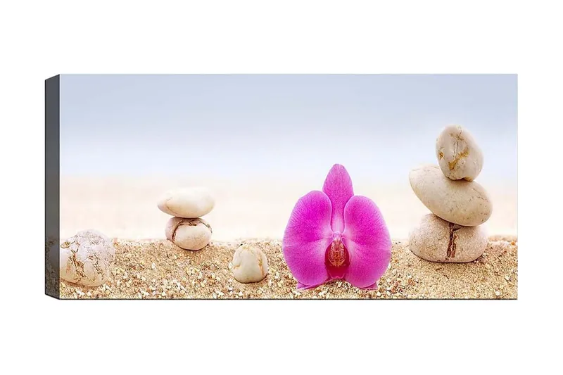 Canvastaulu YTY Floral & Botanical Monivärinen, 120x50 cm