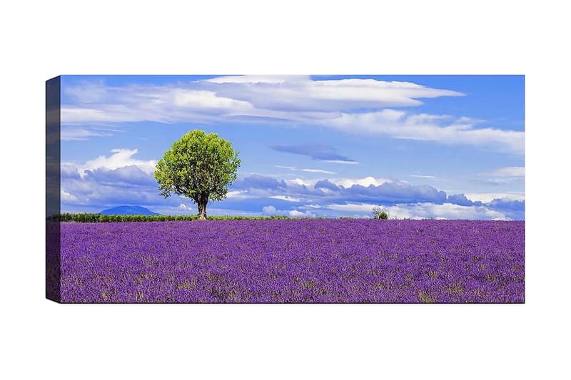 Canvastaulu YTY Floral & Botanical Monivärinen, 120x50 cm