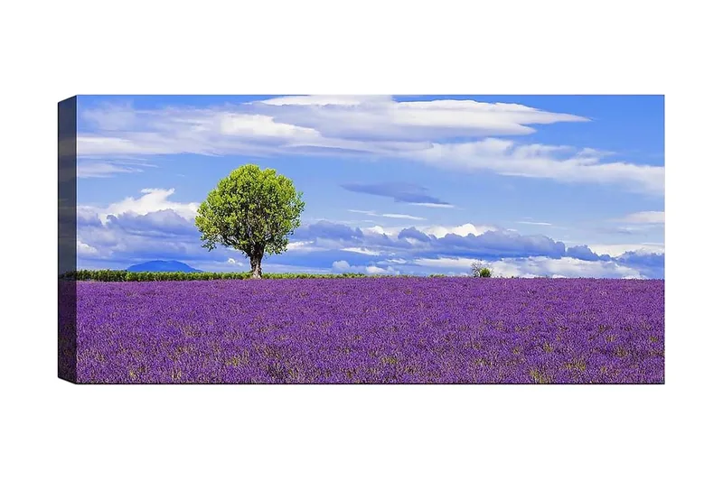 Canvastaulu YTY Floral & Botanical Monivärinen, 120x50 cm