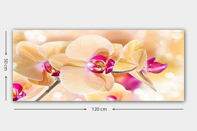 Canvastaulu YTY Floral & Botanical Monivärinen - 120x50 cm - Sisustustuotteet - Taulu & taide - Canvas-taulu