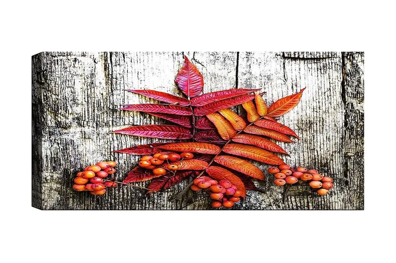 Canvastaulu YTY Floral & Botanical Monivärinen, 120x50 cm