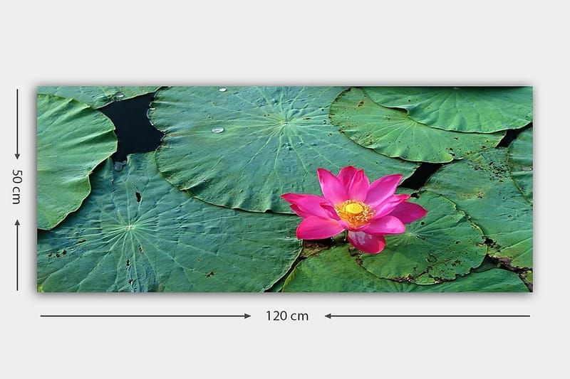 Canvastaulu YTY Floral & Botanical Monivärinen - 120x50 cm - Sisustustuotteet - Taulu & taide - Canvas-taulu