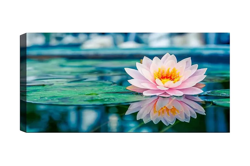 Canvastaulu YTY Floral & Botanical Monivärinen, 120x50 cm