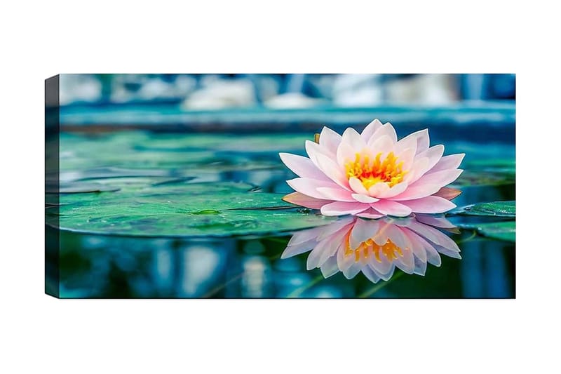 Canvastaulu YTY Floral & Botanical Monivärinen, 120x50 cm