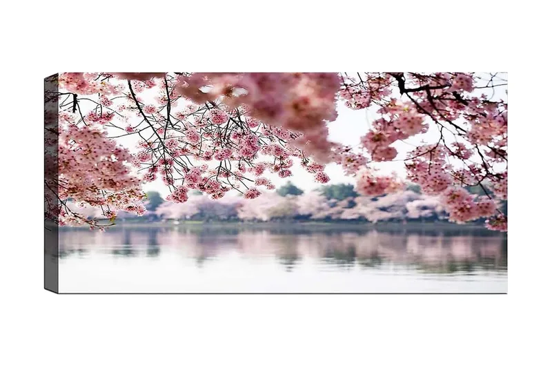 Canvastaulu YTY Floral & Botanical Monivärinen, 120x50 cm