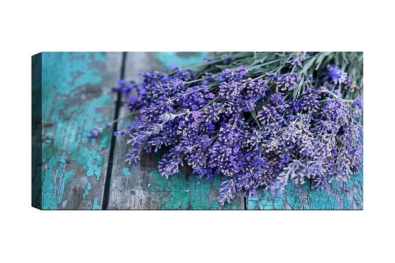 Canvastaulu YTY Floral & Botanical Monivärinen, 120x50 cm