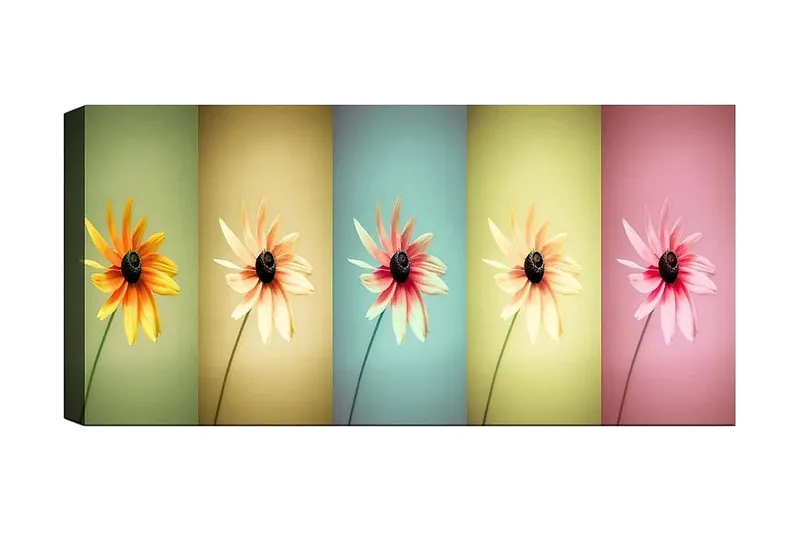 Canvastaulu YTY Floral & Botanical Monivärinen, 120x50 cm