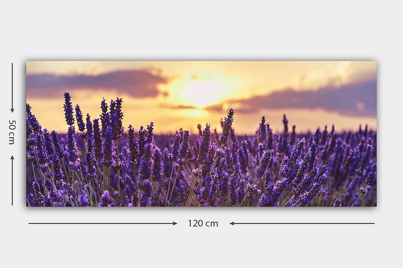 Canvastaulu YTY Floral & Botanical Monivärinen - 120x50 cm - Sisustustuotteet - Taulu & taide - Canvas-taulu