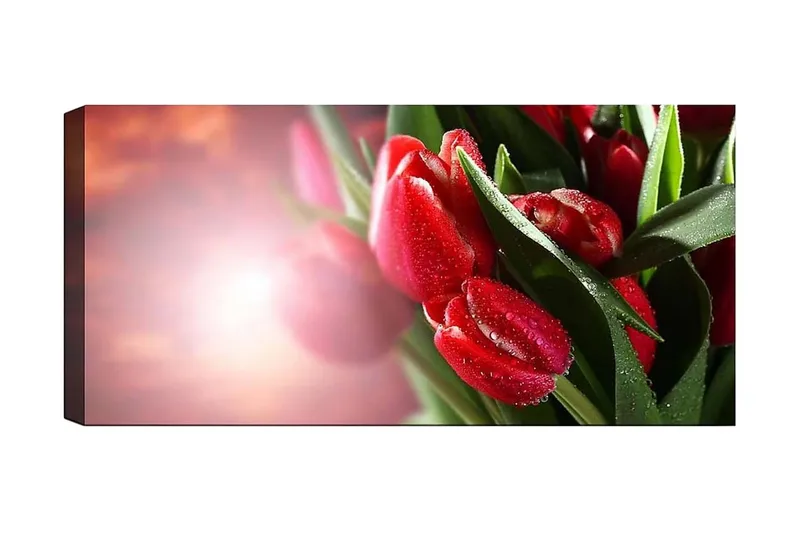 Canvastaulu YTY Floral & Botanical Monivärinen, 120x50 cm