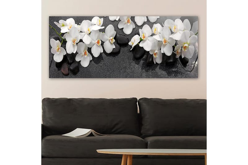 Canvastaulu YTY Floral & Botanical Monivärinen - 120x50 cm - Sisustustuotteet - Taulu & taide - Canvas-taulu