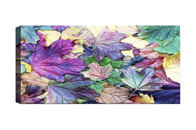 Canvastaulu YTY Floral & Botanical Monivärinen, 120x50 cm