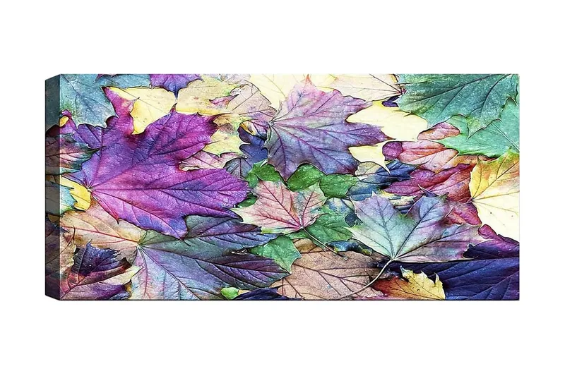 Canvastaulu YTY Floral & Botanical Monivärinen, 120x50 cm