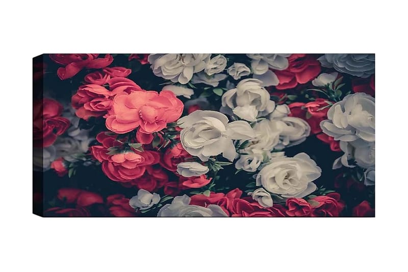 Canvastaulu YTY Floral & Botanical Monivärinen, 120x50 cm