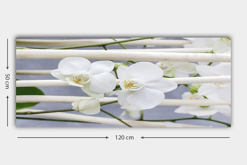 Canvastaulu YTY Floral & Botanical Monivärinen - 120x50 cm - Sisustustuotteet - Taulu & taide - Canvas-taulu