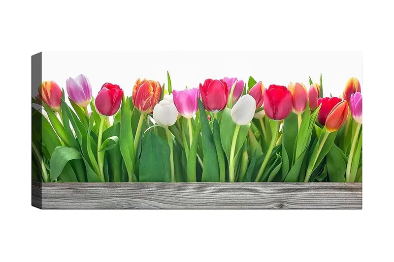 Canvastaulu YTY Floral & Botanical Monivärinen, 120x50 cm