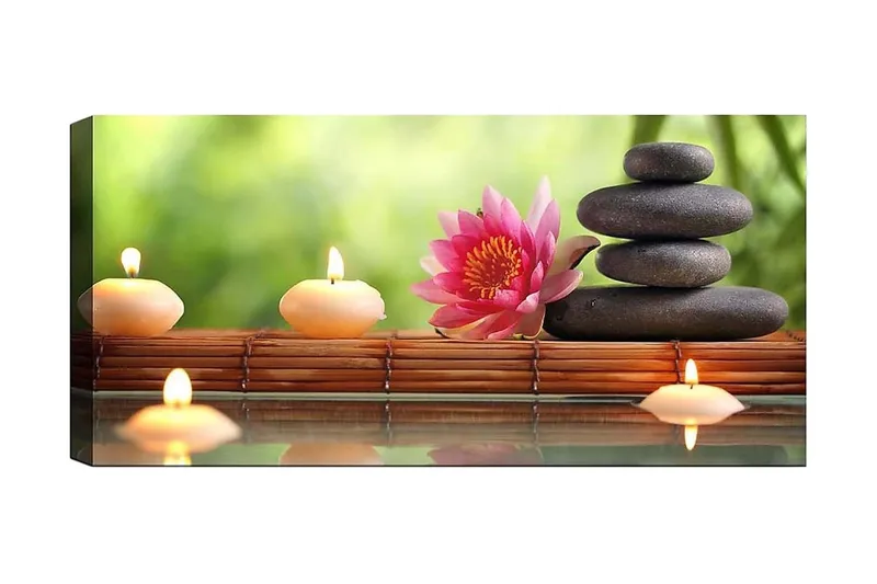 Canvastaulu YTY Floral & Botanical Monivärinen, 120x50 cm