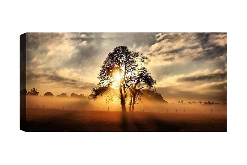 Canvastaulu YTY Landscape & Nature Monivärinen, 120x50 cm