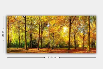 Canvastaulu YTY Landscape & Nature Monivärinen - 120x50 cm - Sisustustuotteet - Taulu & taide - Canvas-taulu